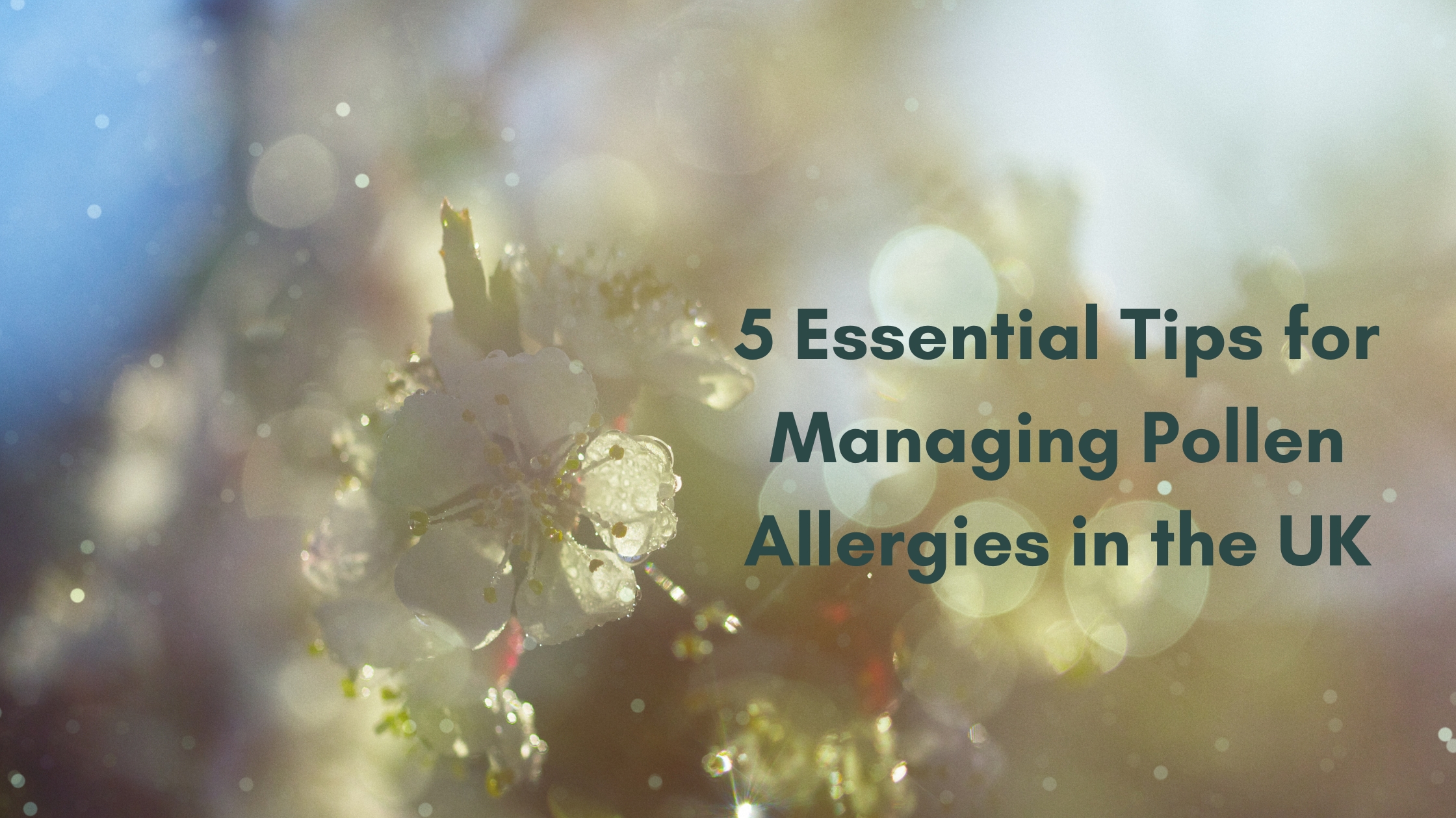 Front Cover: 5 Essential Tips for Managing Pollen Allergies in the UK