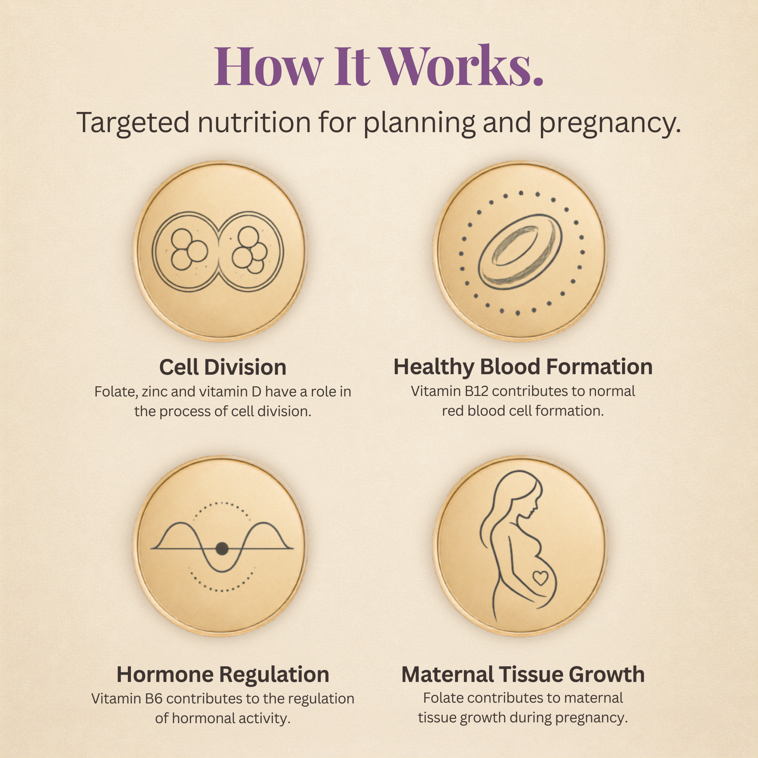 Fertility Focus - Image 3