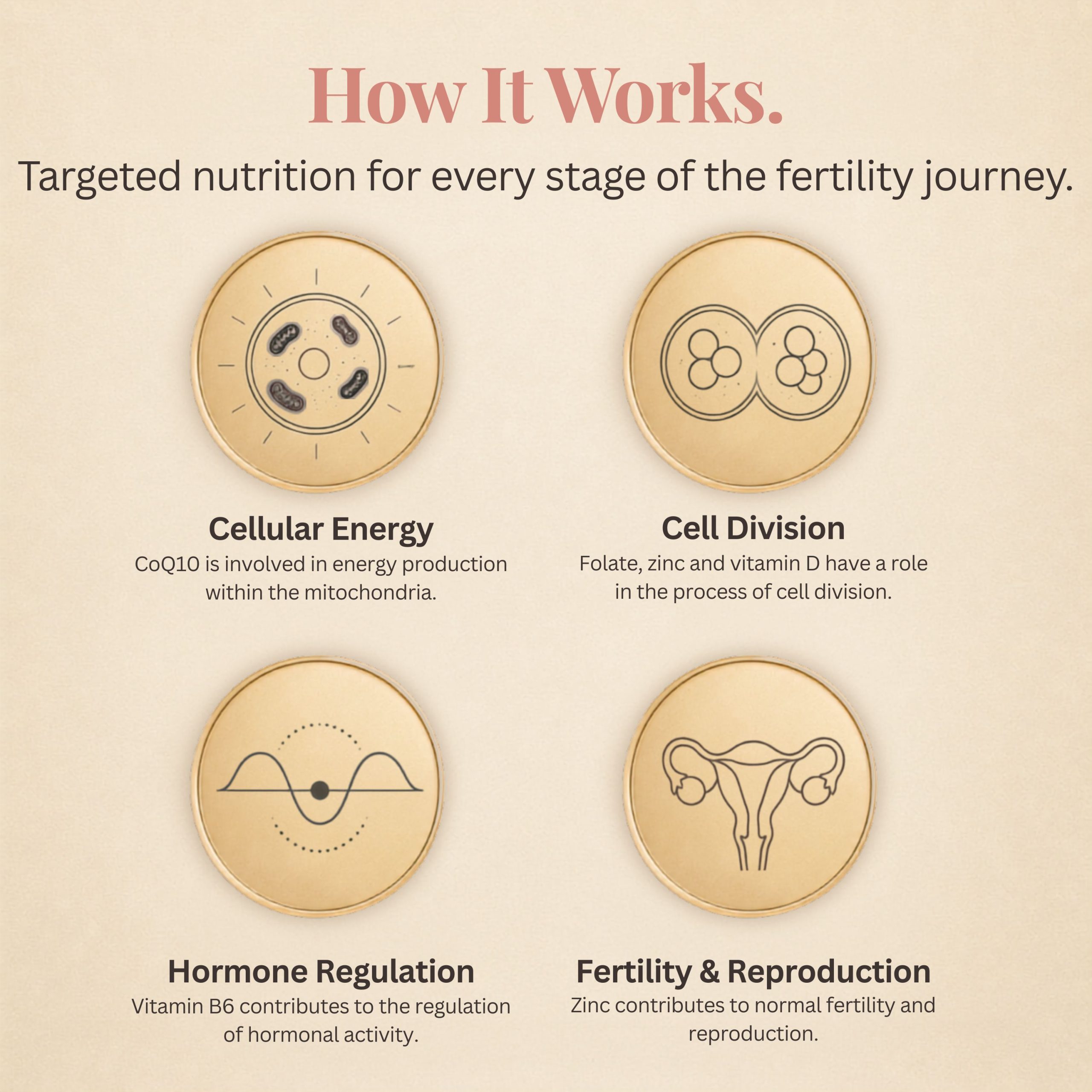 Fertility Advance - Image 3